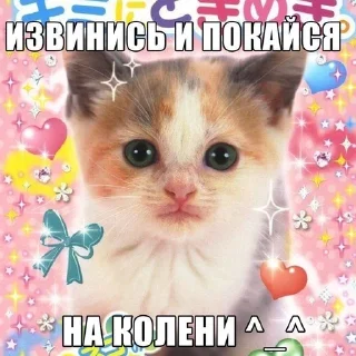 🌟 emoji 🐱 Emotional Cat Telegram sticker 11 of 47