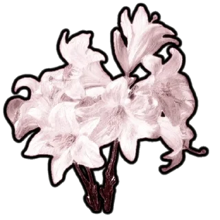 🥢 emoji “•. @drstickerss ఌ.“|@misxtyi Telegram sticker 13 of 55