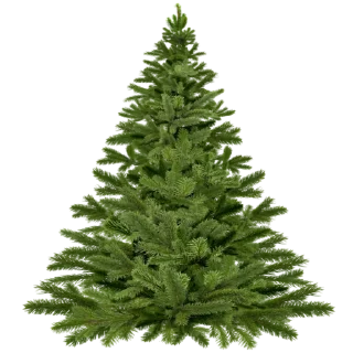 🌲 emoji new year Telegram sticker 8 of 20
