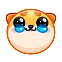 🥹 emoji Shiba Inu Emoji @xkysluv Telegram sticker 24 of 32