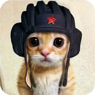 🐱 emoji @STICKRULE <- БОЛЬШЕ Telegram sticker 20 of 45