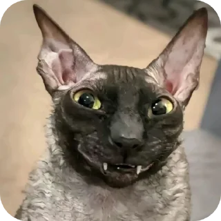 🐱 emoji в траве 25 тгк Telegram sticker 19 of 53