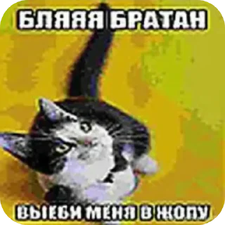 Sticker from Тгк в профиле @ViktorKorneplod100