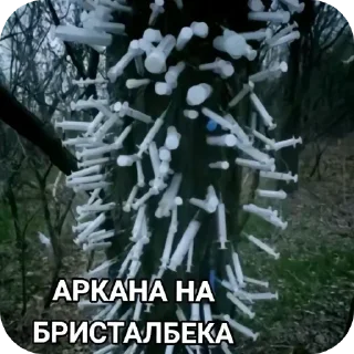 Sticker from В этой траве