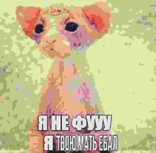 Sticker from Хуйня какая то