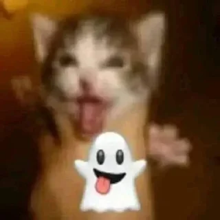👻 emoji mao mao Telegram sticker 5 of 61