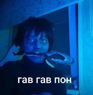 Sticker from Пародия карката