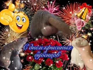 Sticker from с днём дня