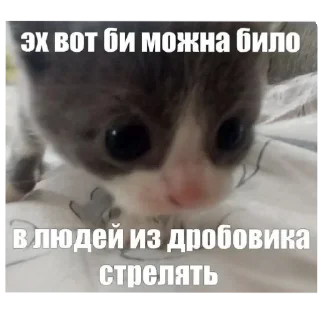 Sticker from Я вас ненавижу