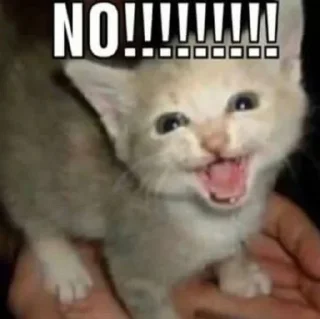 Sticker from котятки мои любимые я вас люблю