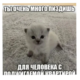 😘 emoji Я вас ненавижу Telegram sticker 6 of 62