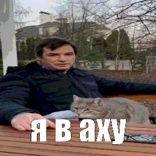 🌟 emoji панфилов и другие @Seitoni Telegram sticker 20 of 50