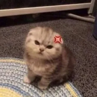 Sticker from Котята