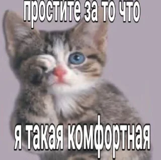 Sticker from стикерпак мпули