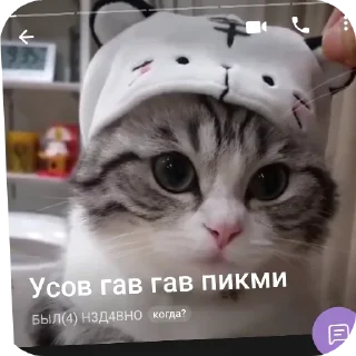 🐱 emoji ода доза Telegram sticker 11 of 109