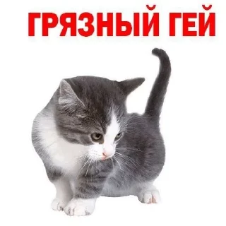 🌟 emoji opasnie kotyata Telegram sticker 2 of 8