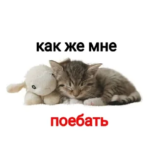 🌟 emoji opasnie kotyata Telegram sticker 8 of 8