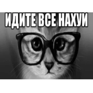 Sticker from милые котята