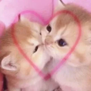 Sticker from Алискины котики