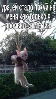 Sticker from стики от @fruktokhranilishte