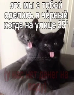 Sticker from стики от @fruktokhranilishte