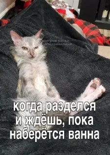 Sticker from стики от @fruktokhranilishte