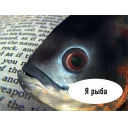 Sticker from fish