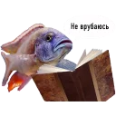 Sticker from fish