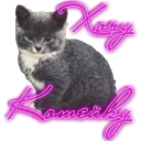 Sticker from Я хочу...