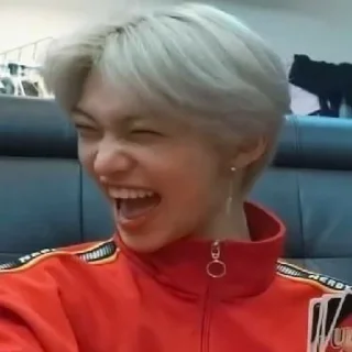 ⭐ emoji Стрей кидс как смысл жизни Telegram sticker 15 of 31