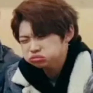 ⭐ emoji Стрей кидс как смысл жизни Telegram sticker 5 of 31