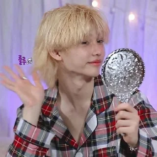 ⭐ emoji Стрей кидс как смысл жизни Telegram sticker 22 of 31