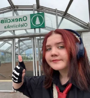 👍 emoji Жоскі геї Telegram sticker 11 of 105
