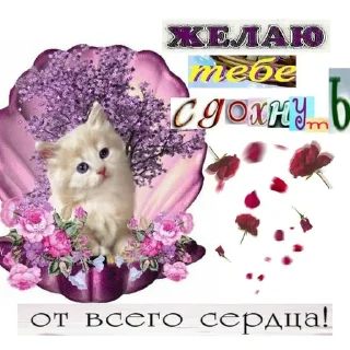 Sticker from Для важных переговоров 2