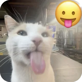 Sticker from котостики by @haventusernameyet