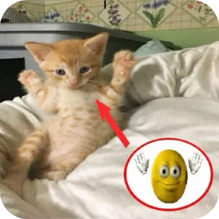 Sticker from котостики by @haventusernameyet