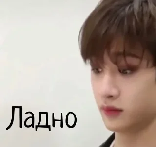 Sticker from stray Kids?