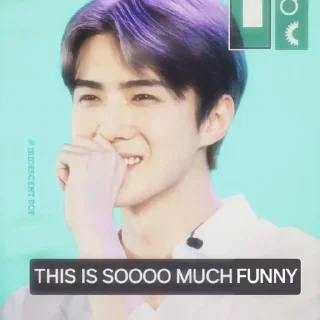 Sticker from sassy huuuuun 😒