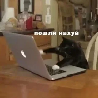 Sticker from (‾◡◝) удаленка
