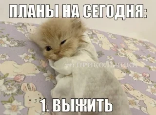 😩 emoji Сонькинс Telegram sticker 10 of 98