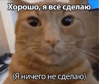 😏 emoji Сонькинс Telegram sticker 19 of 98