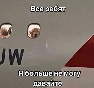 😩 emoji Сонькинс Telegram sticker 13 of 98