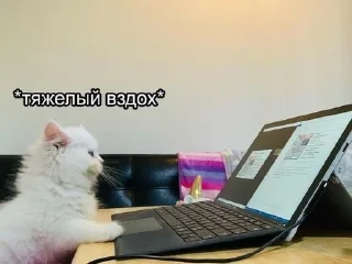 Sticker from (‾◡◝) удаленка