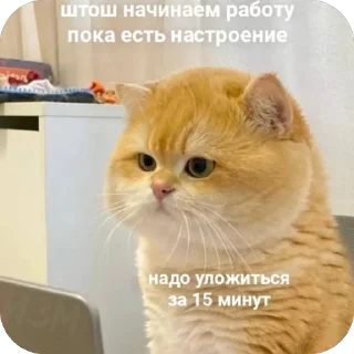 Sticker from работка