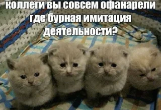 🤬 emoji Сонькинс Telegram sticker 22 of 98