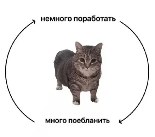 😌 emoji Сонькинс Telegram sticker 9 of 98