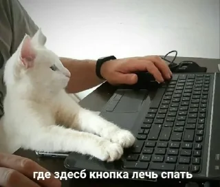 Sticker from (‾◡◝) удаленка
