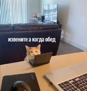 Sticker from (‾◡◝) удаленка