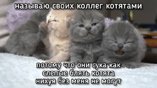 😠 emoji Сонькинс Telegram sticker 21 of 98