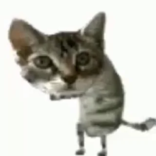 Sticker from Кот танцует